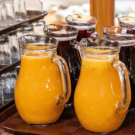 Garni Vsb Tuo Otel Ostrava