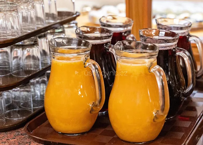 Garni Všb Tuo Hotell Ostrava